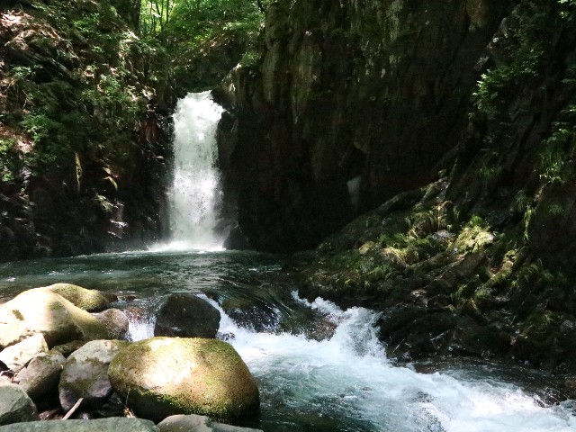 f:id:goodmotion55:20250901222515j:image