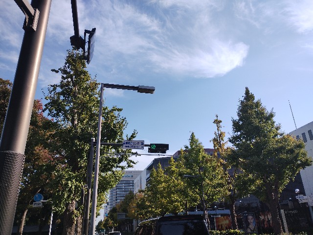 f:id:goodmotion55:20251107181827j:image