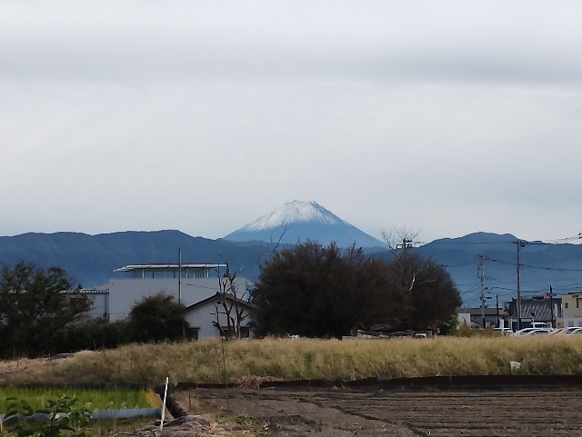 f:id:goodmotion55:20251107212113j:image