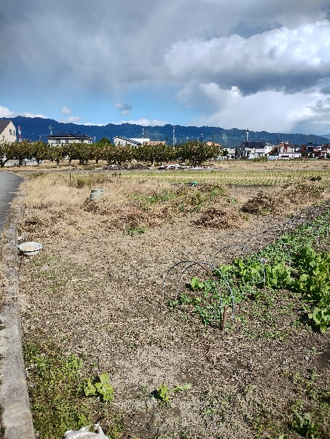 f:id:goodmotion55:20251107212402j:image