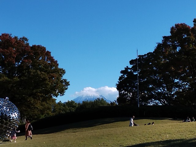 f:id:goodmotion55:20251108082210j:image