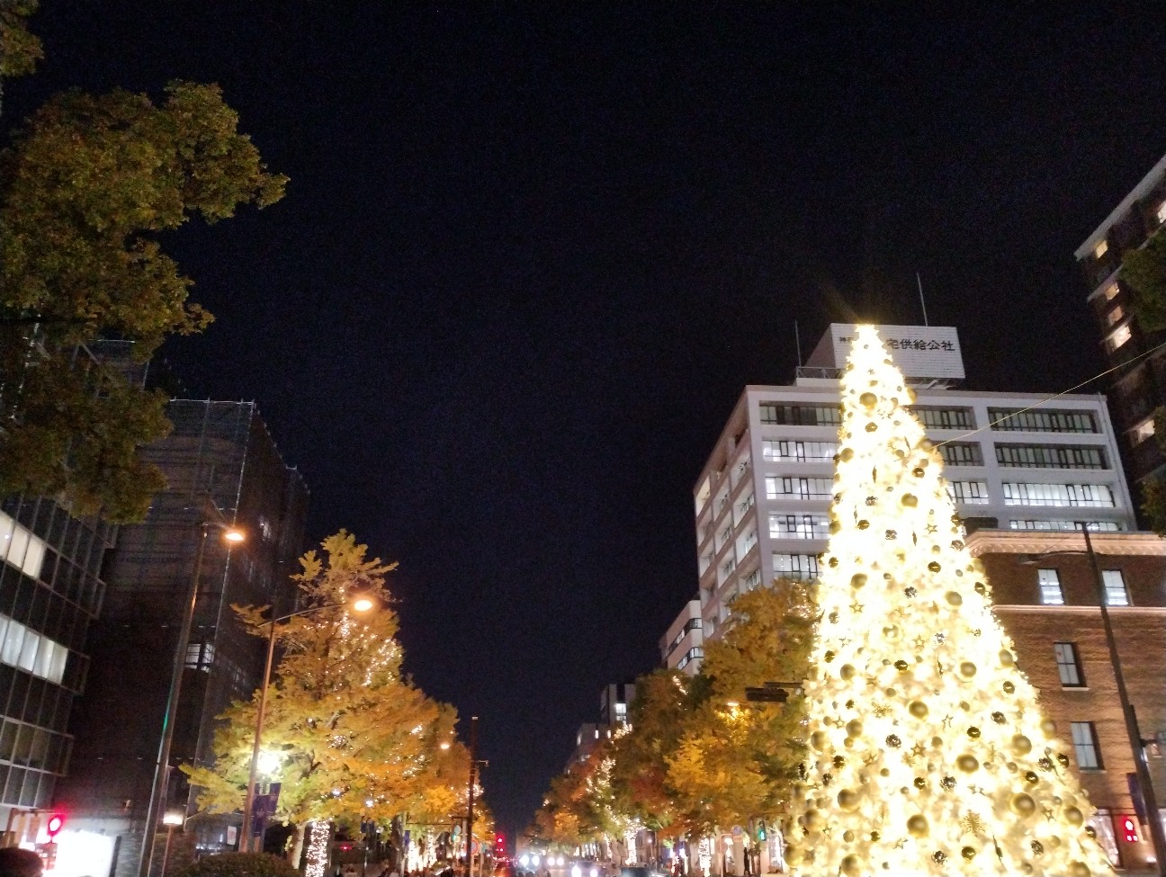 f:id:goodmotion55:20251122090455j:image