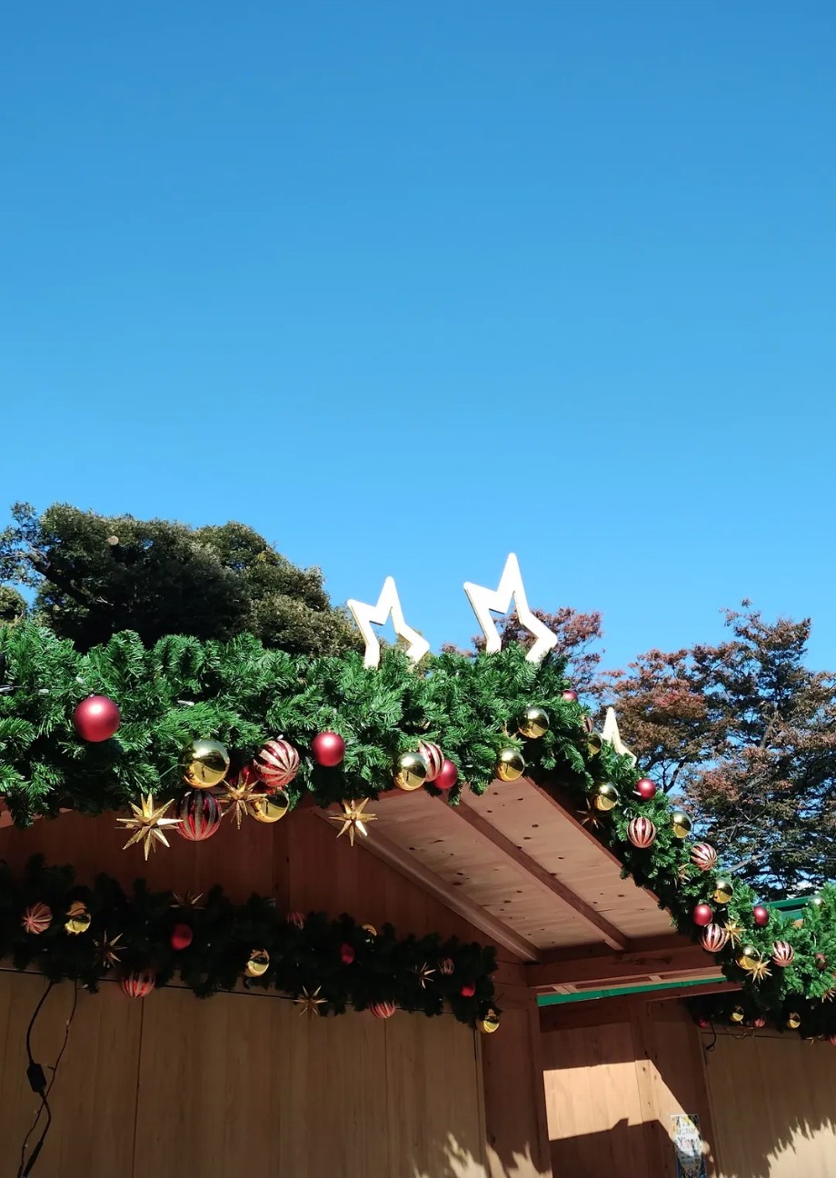 f:id:goodmotion55:20251122154807j:image