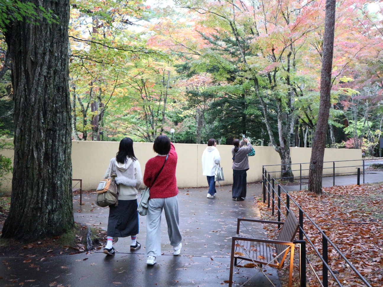 f:id:goodmotion55:20251130114456j:image
