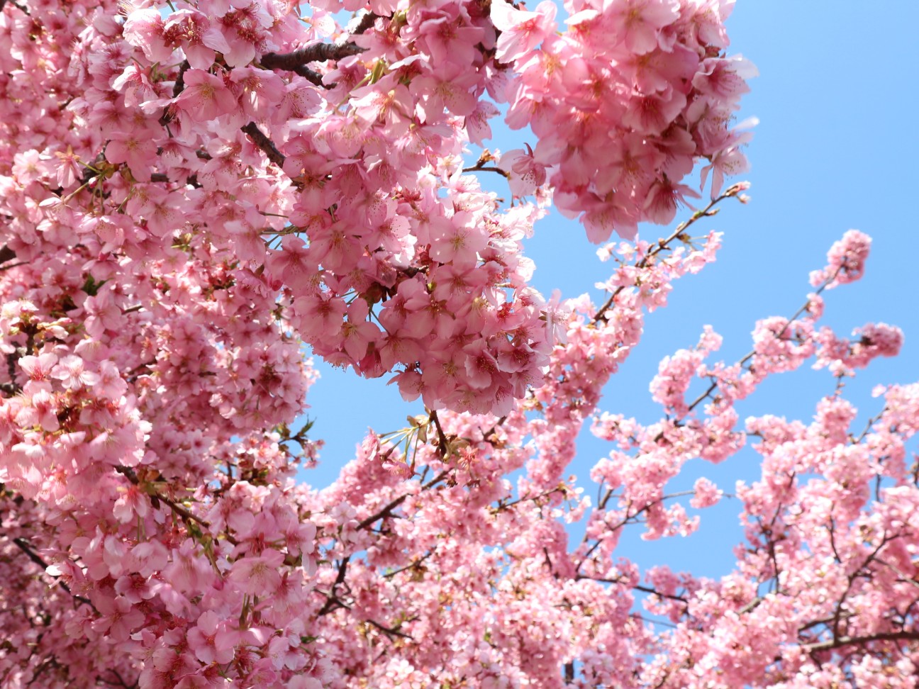 f:id:goodmotion55:20260301213645j:image