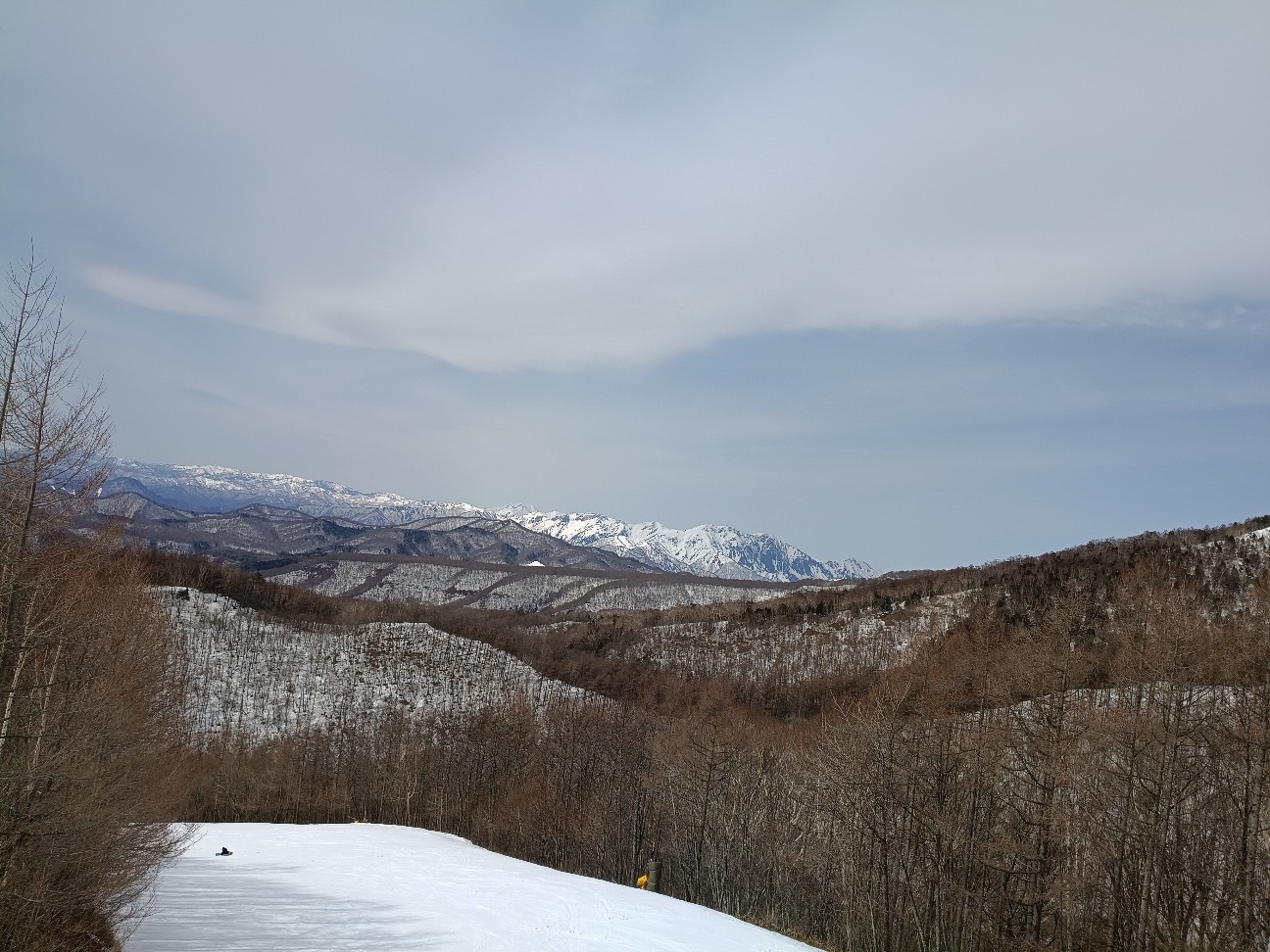 f:id:goodmotion55:20260308214018j:image