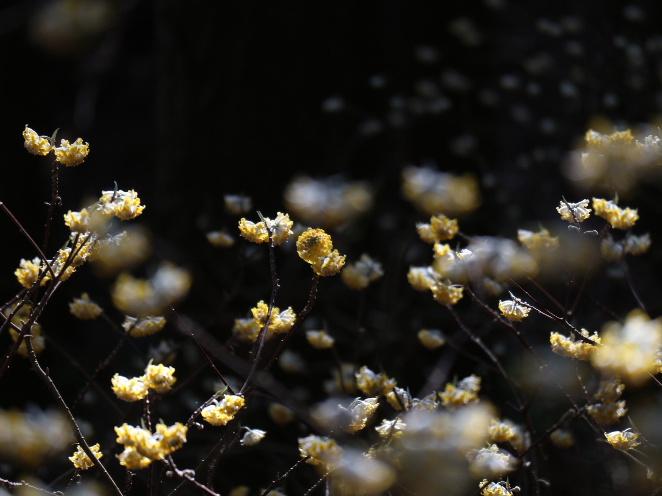 f:id:goodmotion55:20260315174047j:image