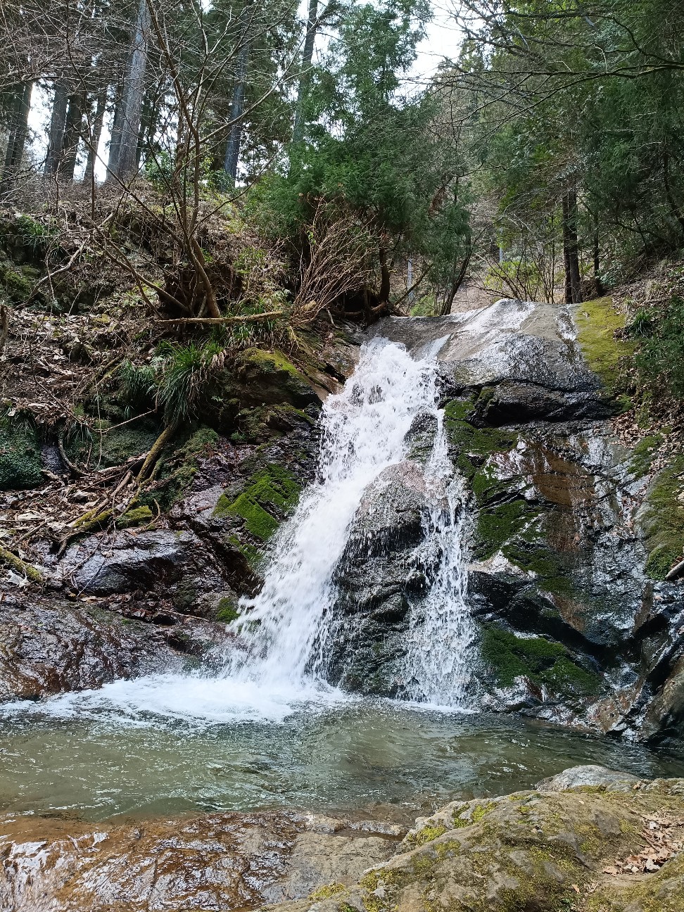 f:id:goodmotion55:20260315180848j:image