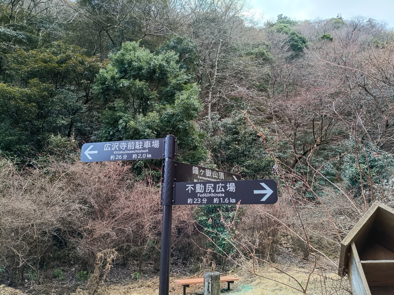 f:id:goodmotion55:20260315190035j:image