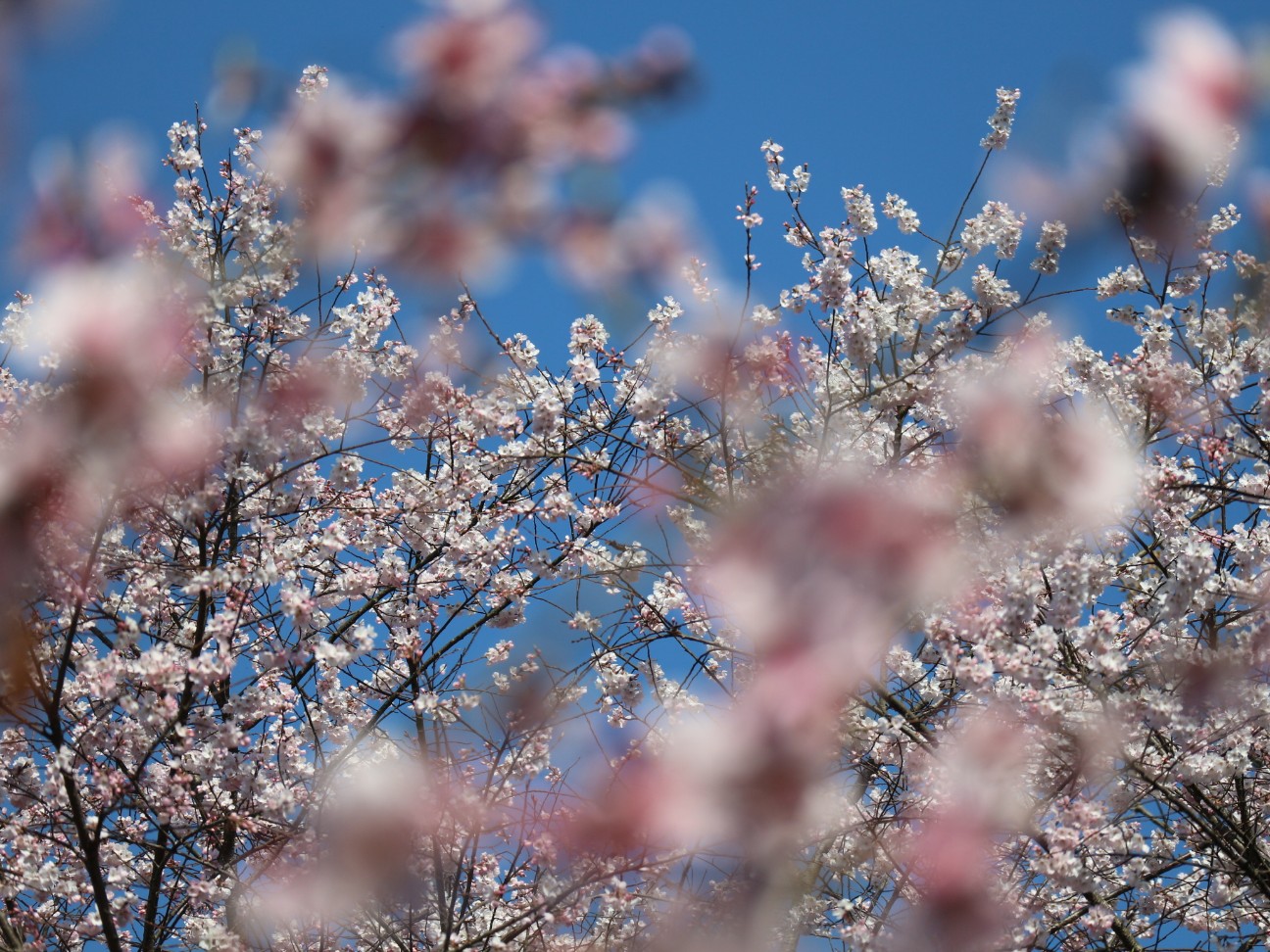 f:id:goodmotion55:20260323181130j:image
