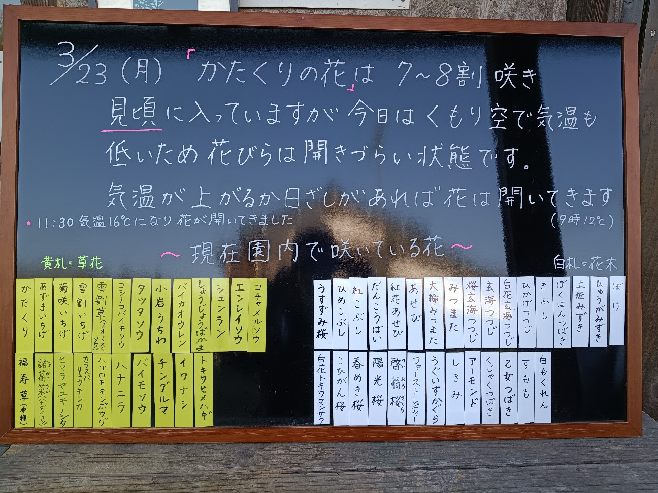 f:id:goodmotion55:20260323181930j:image