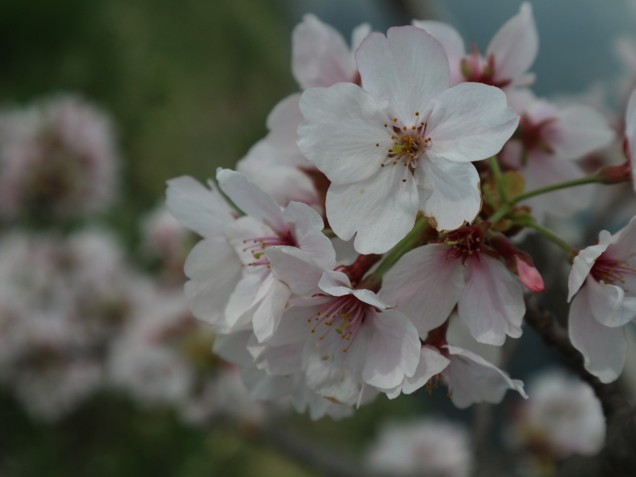 f:id:goodmotion55:20260331211643j:image