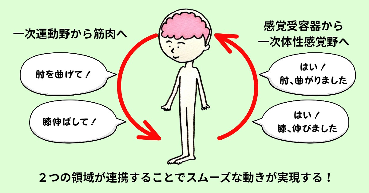 f:id:goodmotion55:20260405172522j:image