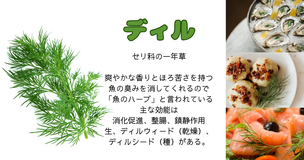 f:id:goodmotion55:20260504144417j:image f:id:goodmotion55:20260504144417j:image