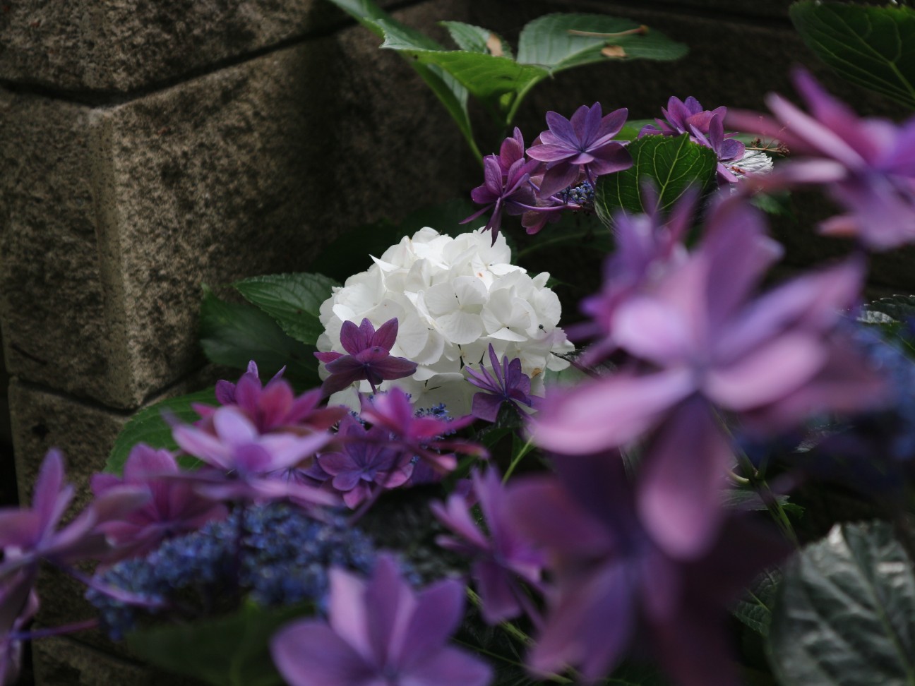 f:id:goodmotion55:20260621081259j:image