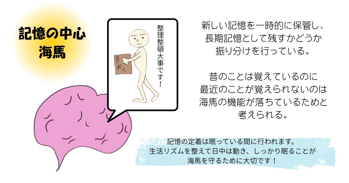 f:id:goodmotion55:20260916182623j:image