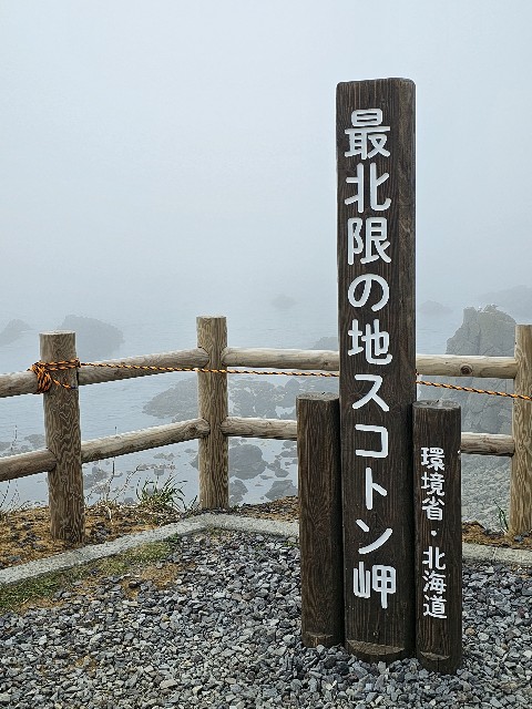 f:id:goodoru:20230601222644j:image