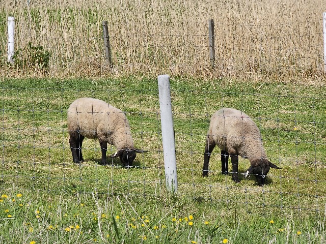 f:id:goodoru:20230606222403j:image f:id:goodoru:20230606222403j:image