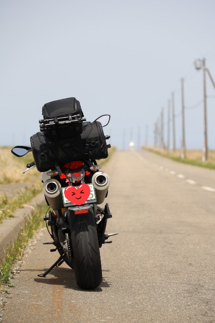 f:id:goodoru:20230606222824j:image f:id:goodoru:20230606222824j:image