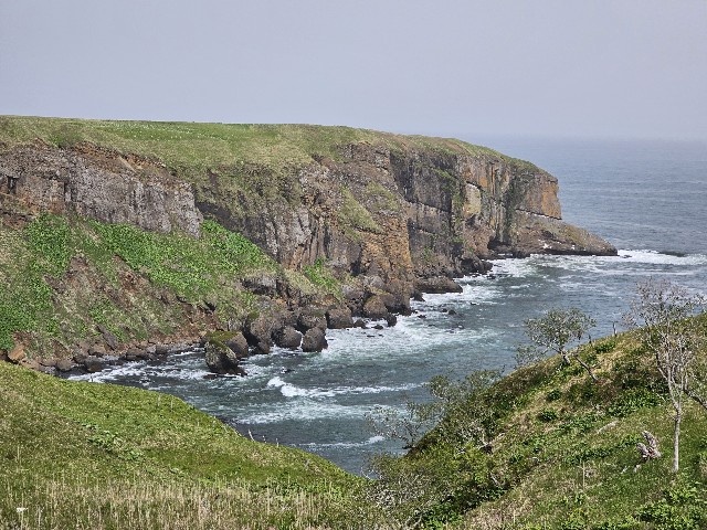 f:id:goodoru:20230606222935j:image f:id:goodoru:20230606222935j:image