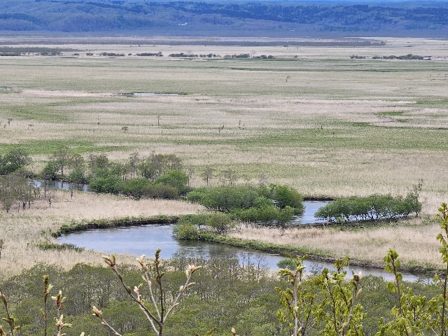 f:id:goodoru:20230607143922j:image f:id:goodoru:20230607143922j:image