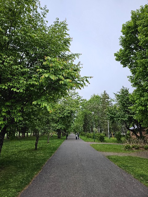 f:id:goodoru:20230607151240j:image f:id:goodoru:20230607151240j:image