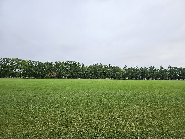 f:id:goodoru:20230607152322j:image f:id:goodoru:20230607152322j:image