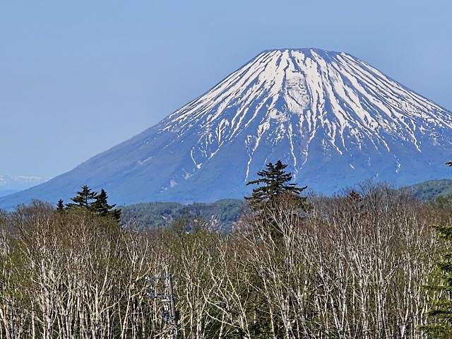 f:id:goodoru:20230607222450j:image f:id:goodoru:20230607222450j:image