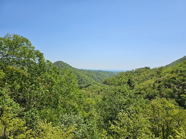 f:id:goodoru:20230607222629j:image f:id:goodoru:20230607222629j:image