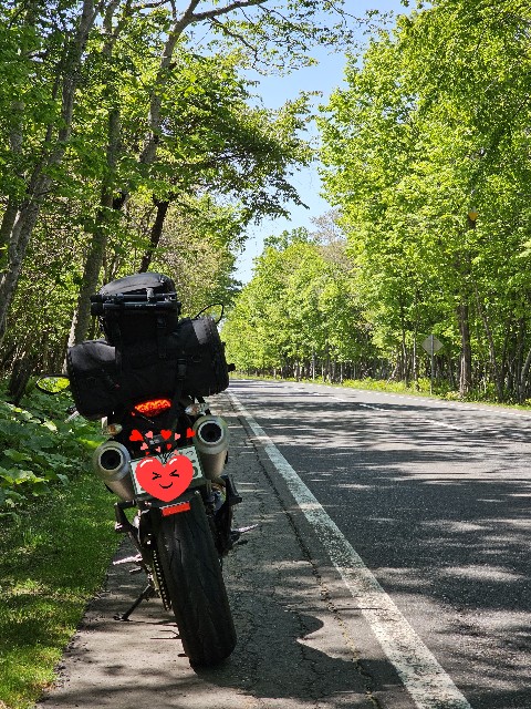 f:id:goodoru:20230607222901j:image f:id:goodoru:20230607222901j:image