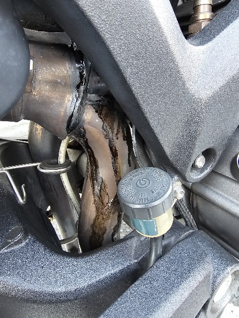 f:id:goodoru:20241103165249j:image f:id:goodoru:20241103165249j:image