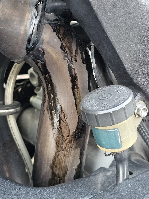 f:id:goodoru:20241103165303j:image f:id:goodoru:20241103165303j:image