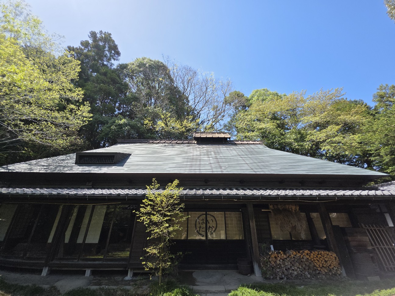 f:id:goodoru:20260611071324j:image f:id:goodoru:20260611071324j:image
