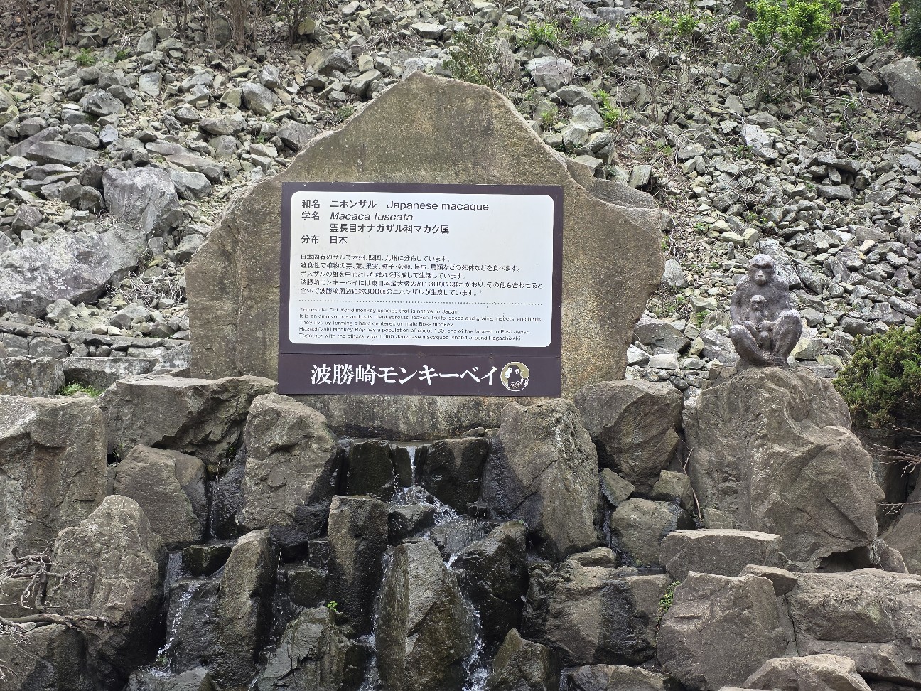 f:id:goodoru:20260614231433j:image f:id:goodoru:20260614231433j:image