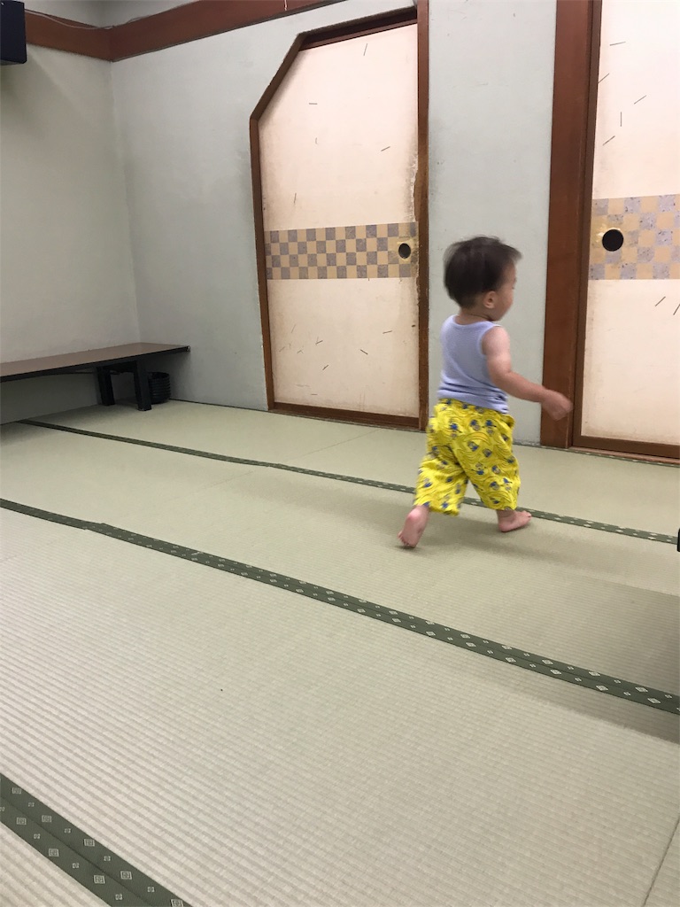 f:id:goodpoteko:20170712230039j:image f:id:goodpoteko:20170712230039j:image