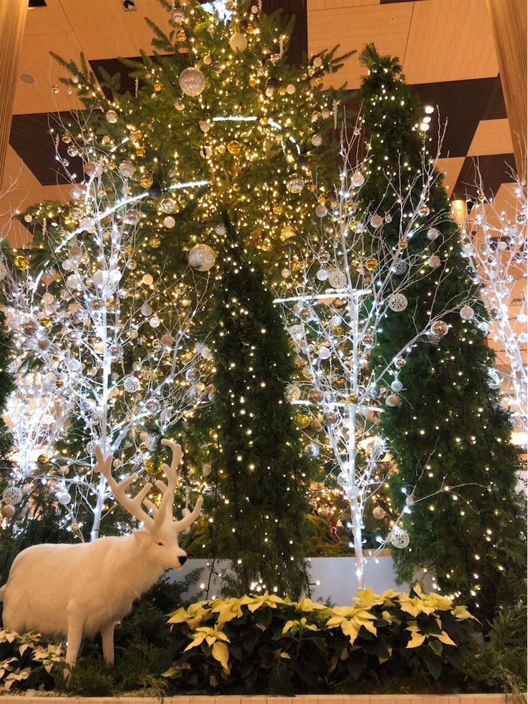 f:id:goodpoteko:20181112233819j:image f:id:goodpoteko:20181112233819j:image