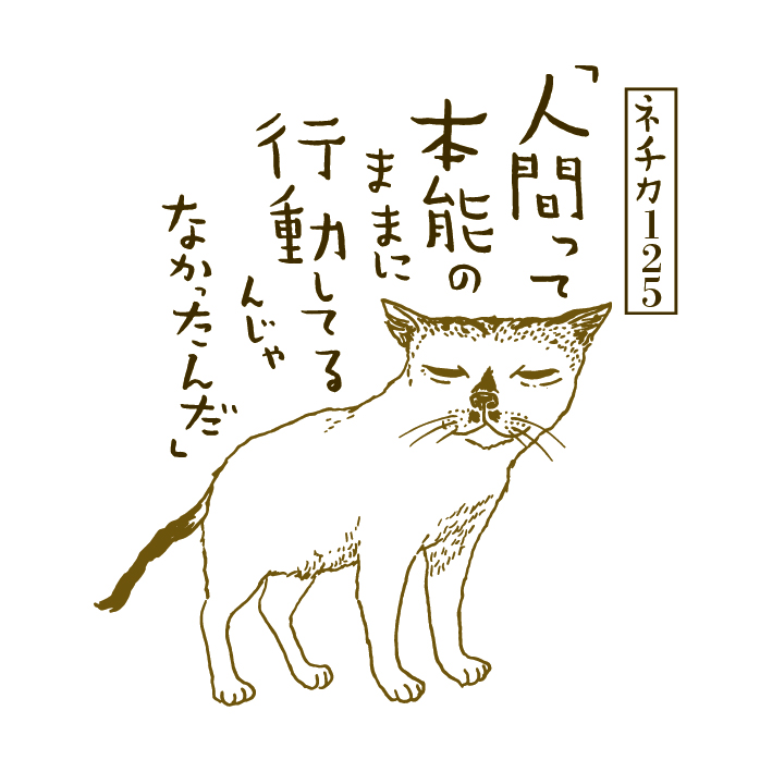 f:id:goodrock:20160724172721j:plain f:id:goodrock:20160724172721j:plain
