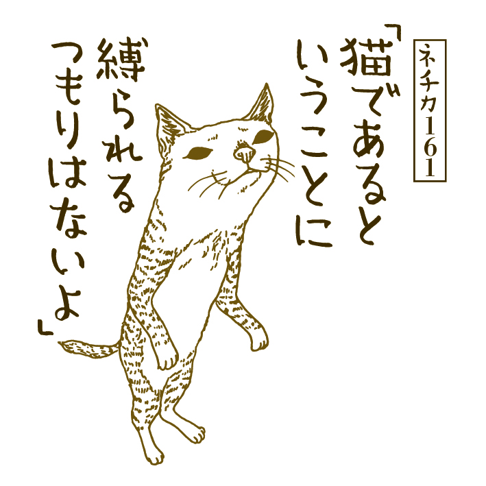 f:id:goodrock:20160811165150j:plain