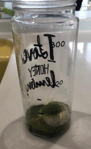 f:id:goodsleepnav:20180713142029j:plain