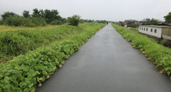 石和温泉風景