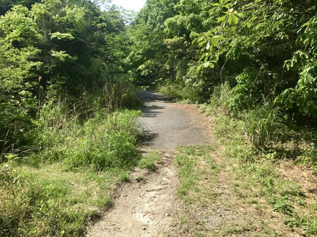 f:id:goodsun30:20170602231757j:plain f:id:goodsun30:20170602231757j:plain