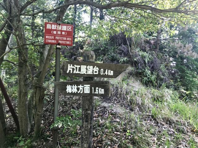 f:id:goodsun30:20170602231853j:plain f:id:goodsun30:20170602231853j:plain