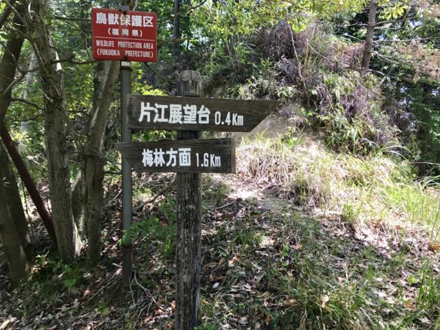 f:id:goodsun30:20170602232628j:plain f:id:goodsun30:20170602232628j:plain