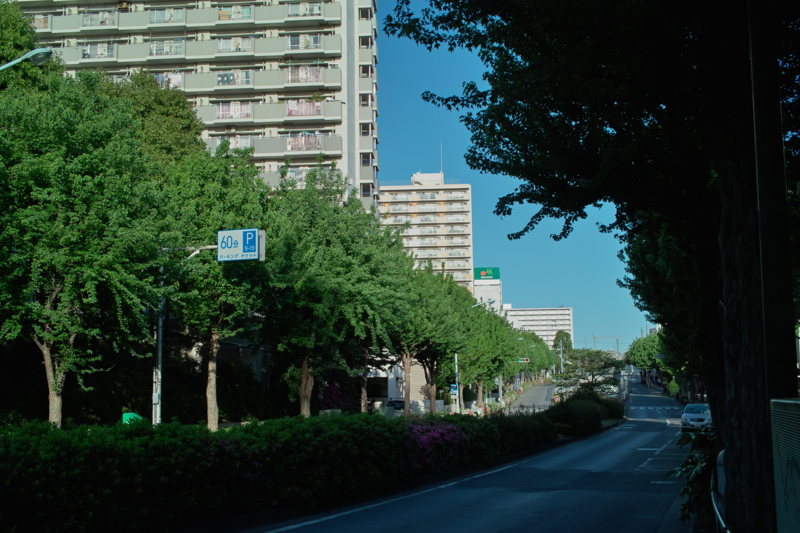 f:id:goodvn:20090427062405j:image f:id:goodvn:20090427062405j:image