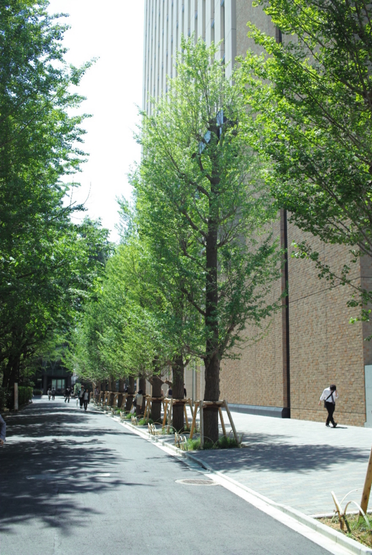 f:id:goodvn:20090428105218j:image f:id:goodvn:20090428105218j:image