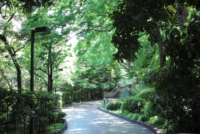f:id:goodvn:20090428105534j:image f:id:goodvn:20090428105534j:image