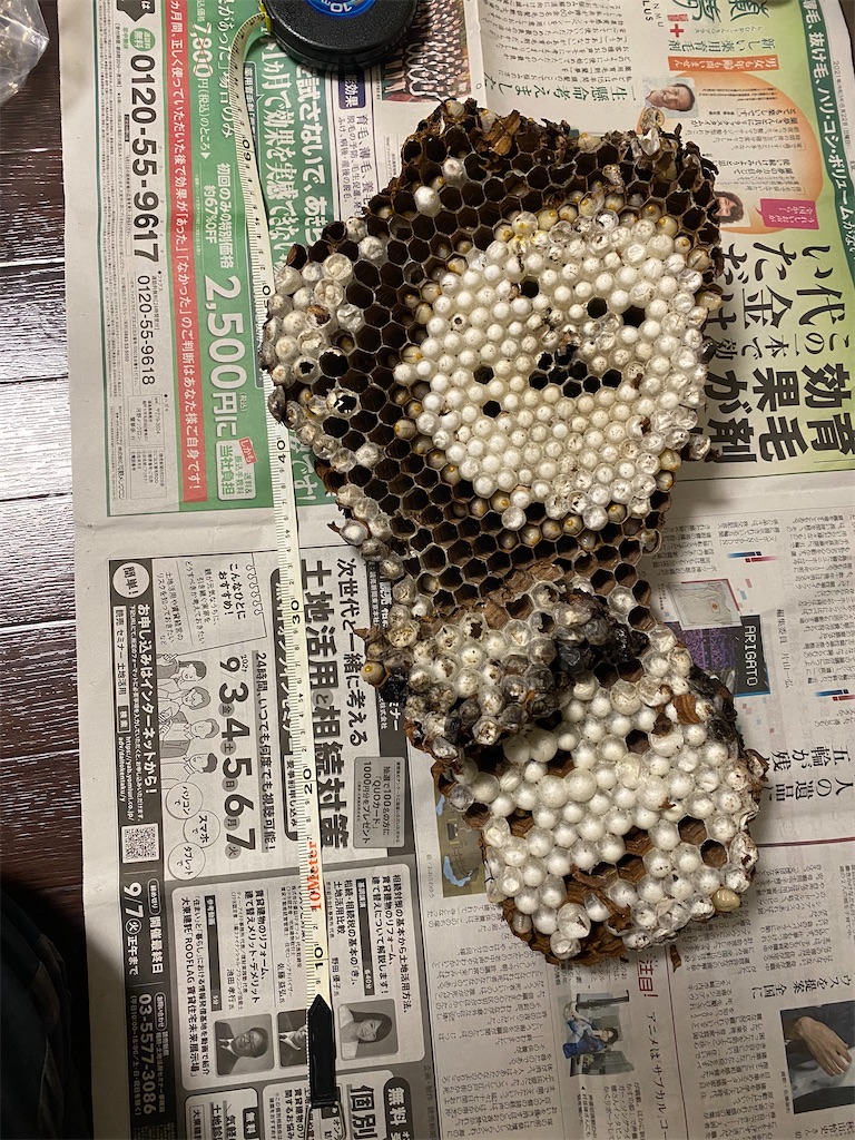 f:id:googoorii:20211016162037j:image f:id:googoorii:20211016162037j:image