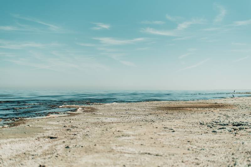 f:id:goolegleu:20190127225706j:plain f:id:goolegleu:20190127225706j:plain