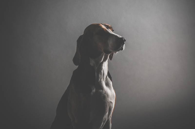 f:id:goolegleu:20190127233127j:plain f:id:goolegleu:20190127233127j:plain