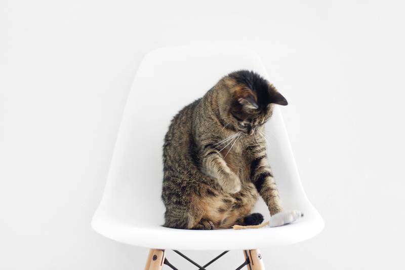 f:id:goolegleu:20190128195659j:plain f:id:goolegleu:20190128195659j:plain